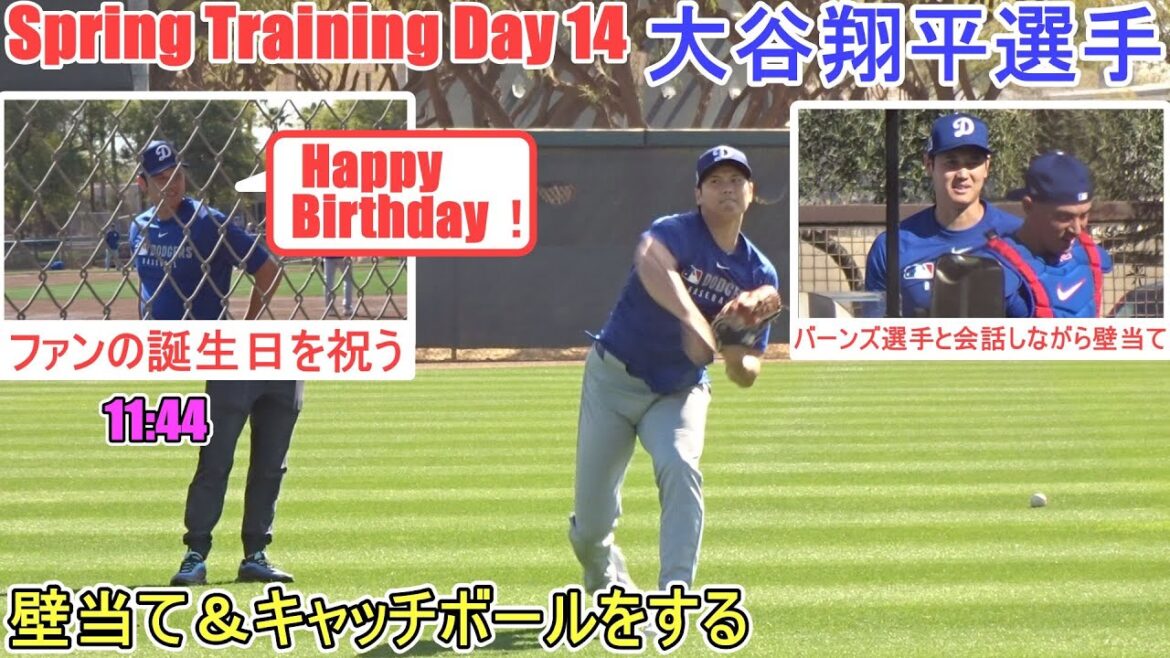 Se dépouillé par mur et jeu - célébrant les anniversaires des fans! ~[Otani Shohei]~ Sptore Jour 14 ~ Shohei Ohtani 2025 Jour de formation du printemps 14