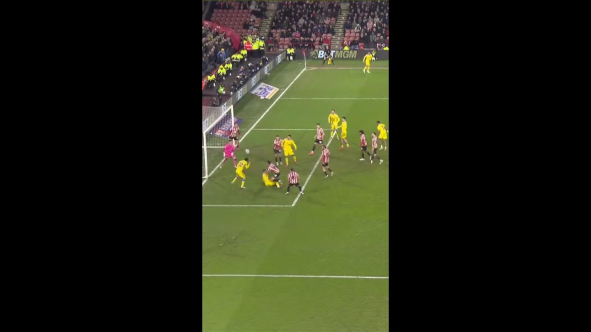 AO Tanaka marque la 89e minute en tête de Win Yorkshire Derby! #lufc