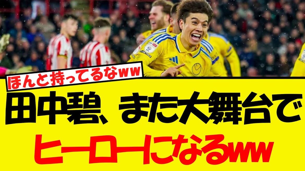 Tanaka Aoi redevient un héros sur la grande scène wwwww