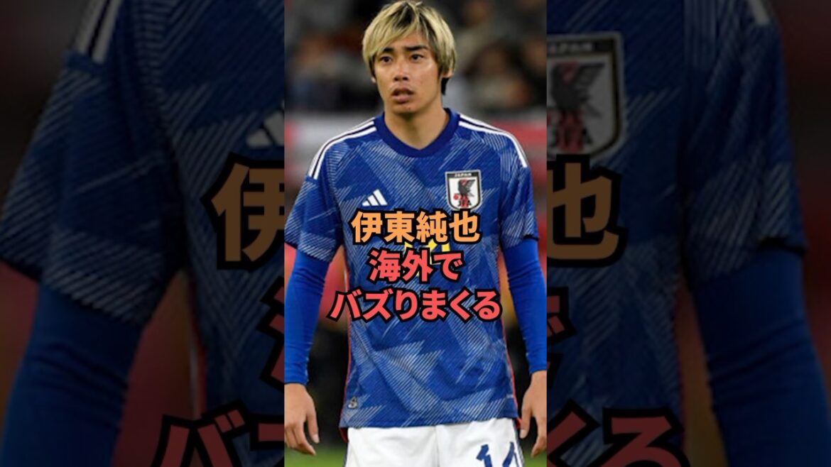 Ito Junya bourdonne partout dans le monde