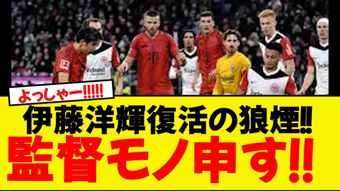 Ito Hiroki est de retour! ! ! ! ! Je parle du réalisateur! ! ! !