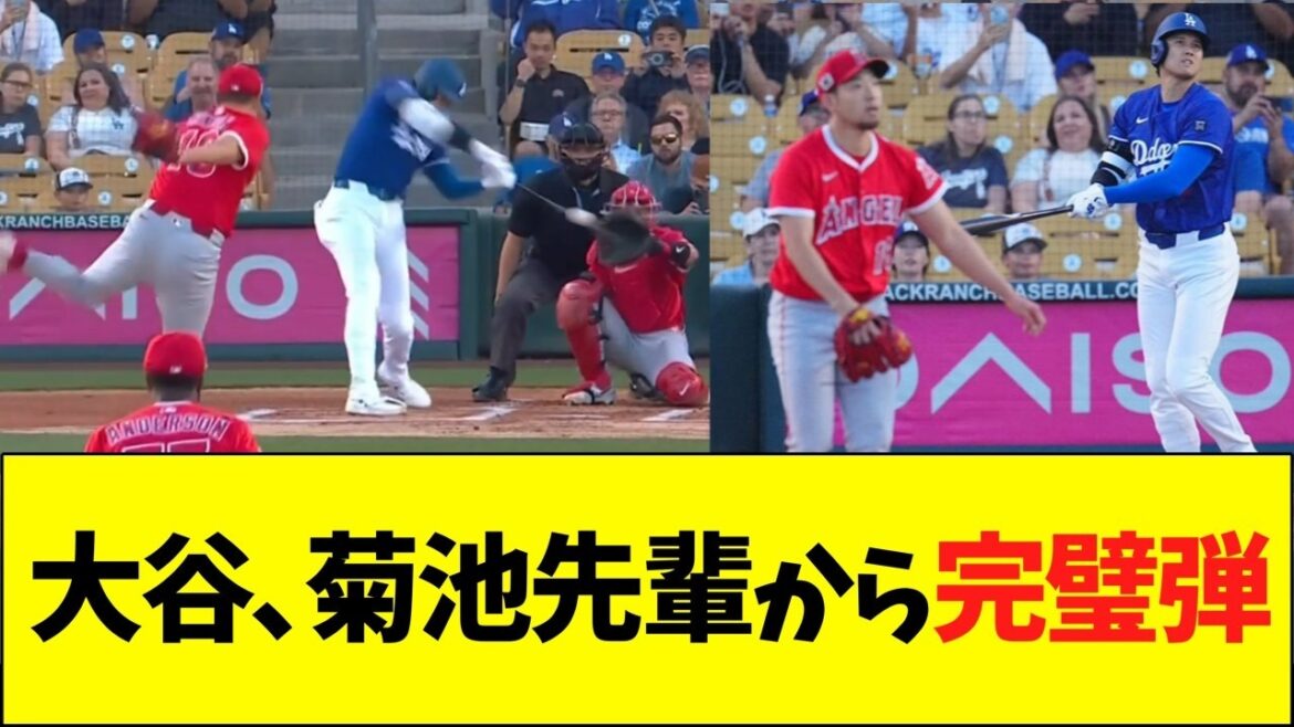 Otani Shohei, balles parfaites de Kikuchi Yusei Senpai