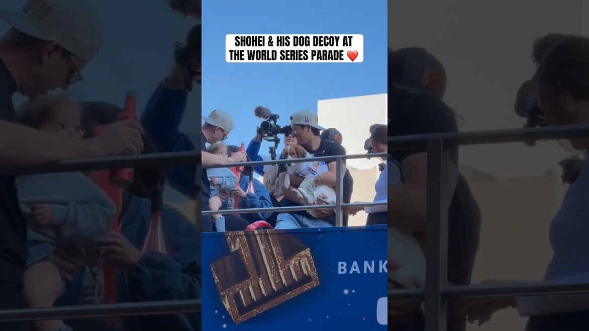 Shohei Ohtani a sorti leurre au défilé 🐶