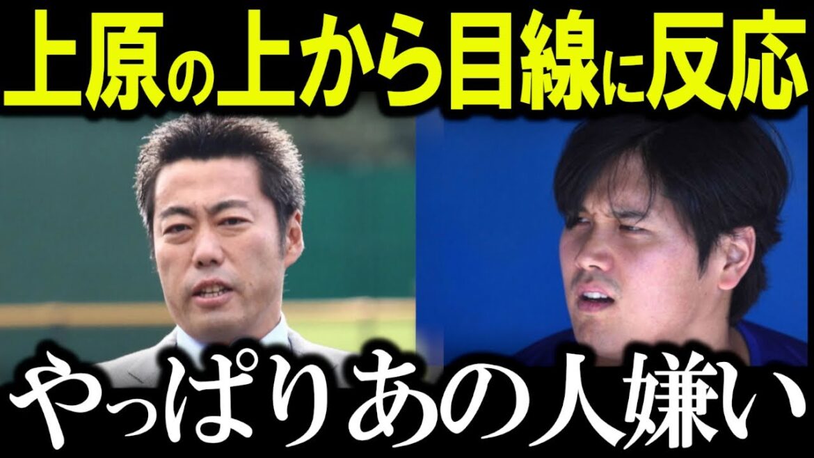 [Contre-attaque de colère! 】 Otani Shohei devient enfin furieux à San Moni Uehara! Le cynisme d'Uehara Koji fait exploser les États-Unis en flammes! Les vrais sentiments d'Otani Shohei que Kikuchi Yusei a donnés dans les commentaires des médias sociaux sont un sujet brûlant[Japon loué par Otani Shohei]