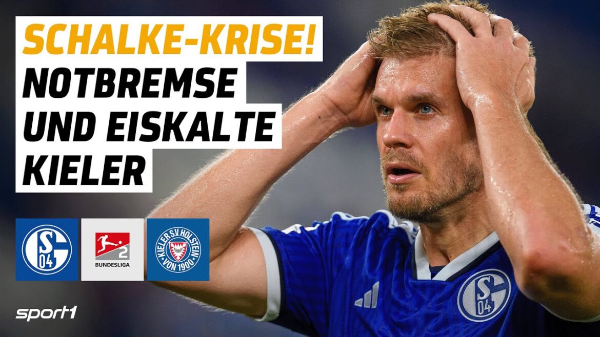 FC Schalke 04 - Holstein Kiel | 2. Bundesliga Buts et met en évidence la 4e journée