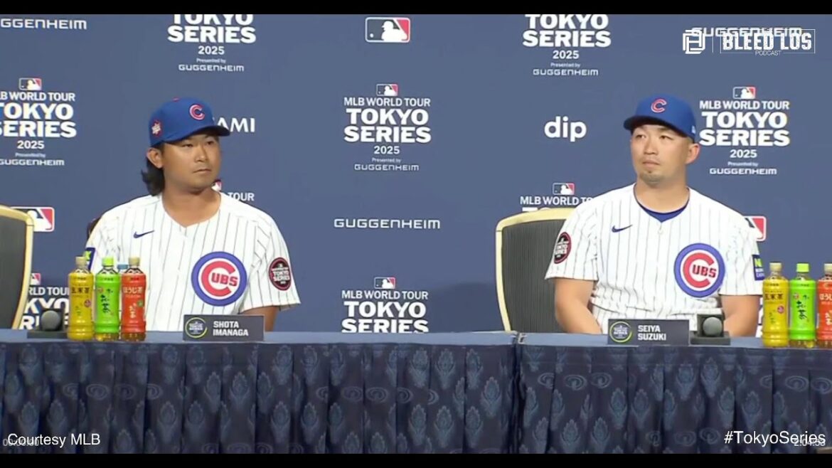 Regarder: Shota Imanaga et Seiya Suzuki discutent de retour au Japon pour affronter les Dodgers dans la série Tokyo