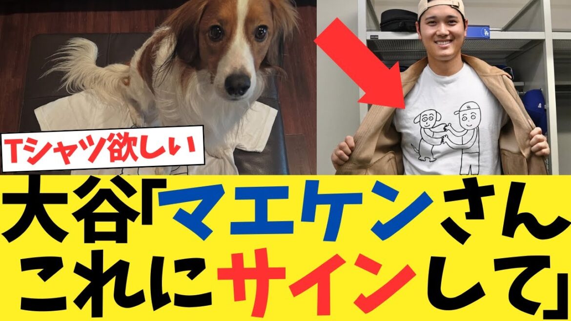 L'illustration de Maeken atteint Otani Shohei lolwwwwww