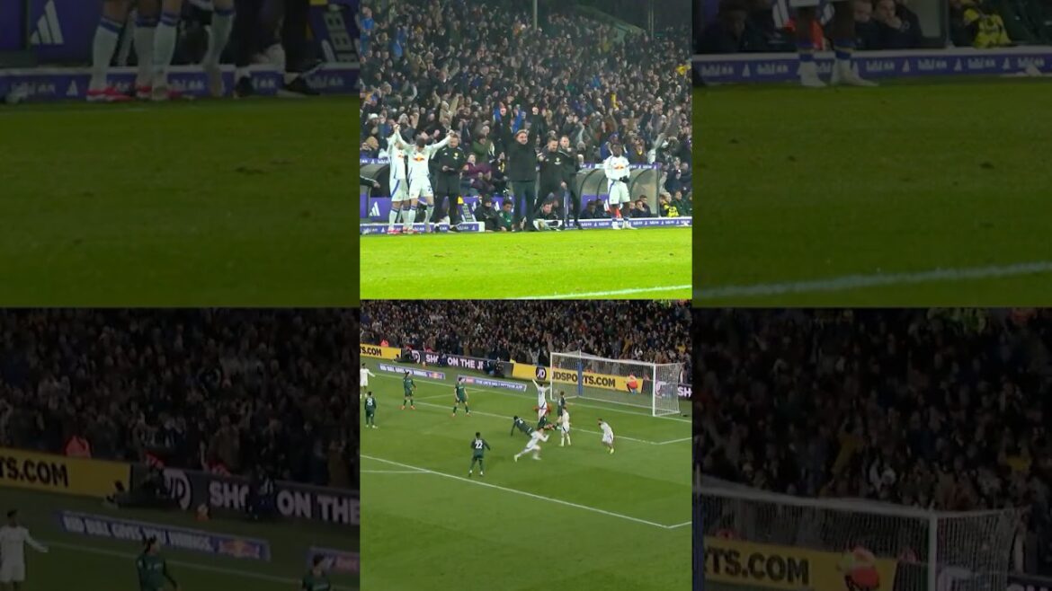 Farke aime un superbe objectif AO Tanaka | Cam