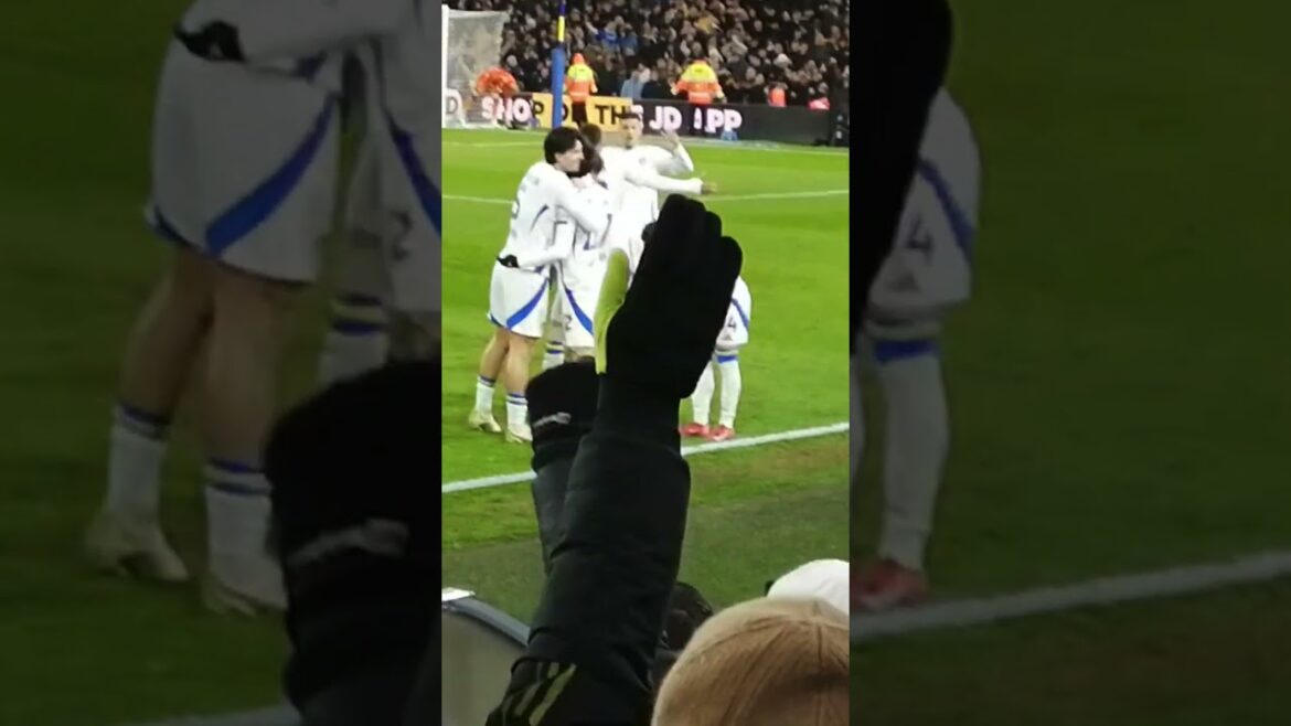 Leeds United Ao Tanaka en fait 2 nuls à Elland Road contre Millwall. #leedSunited #championhip