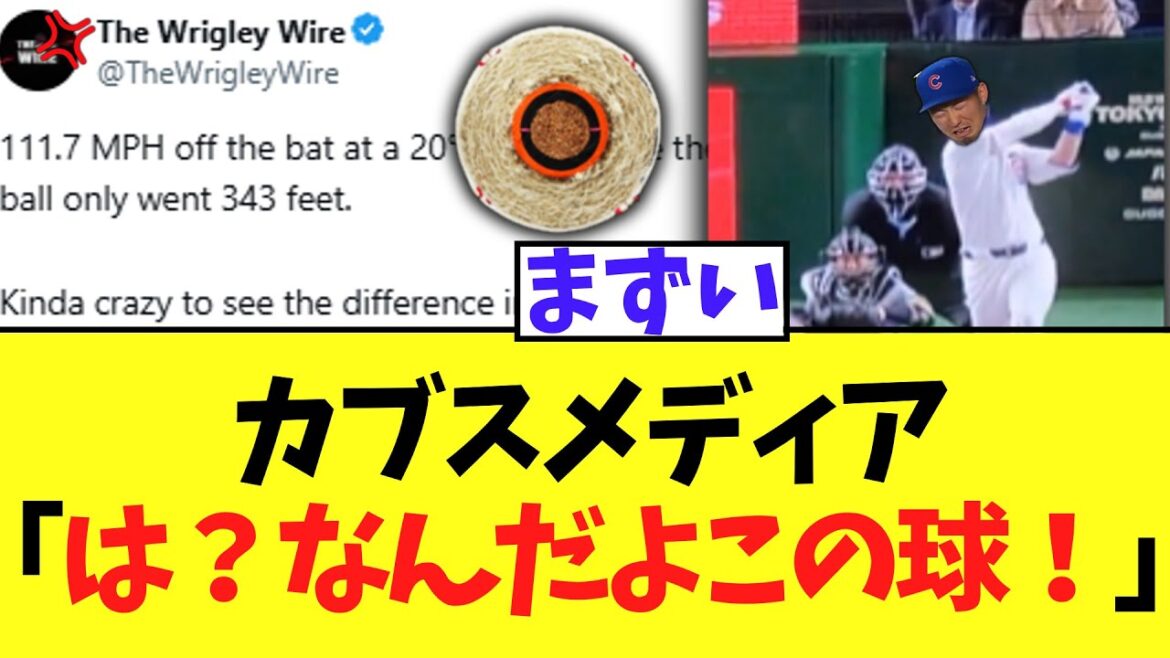 Cubs Media Suzuki Seiya's Terrifying Ball Hits pour une raison quelconque s'est transformé en boule de mouche et se rend compte qu'il ne vole pas lol