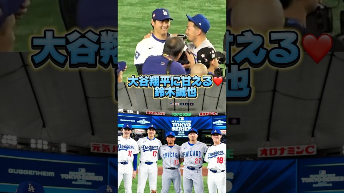 Cubs Suzuki Seiya étant gâtée par les Dodgers Otani Shohei ❤️