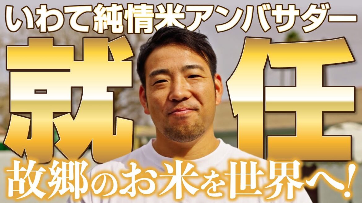 [Kikuchi Yusei]Iwate Junjou Rice Ambassador[Koh]