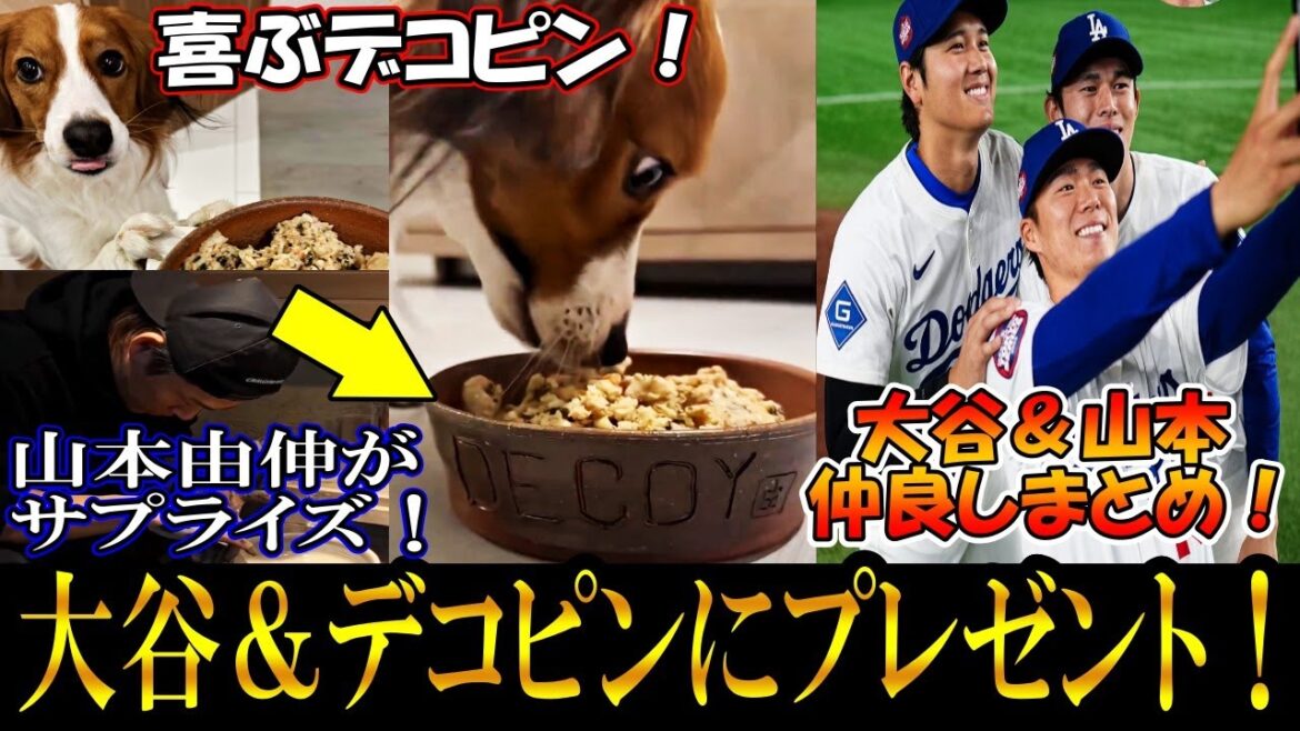 [Otani Shohei]Yamamoto Yushin offre à Otani un cadeau surprise! Yamamoto fabrique des assiettes maison (céramique) pour la décote! Un résumé des amitiés d'Otani et Yamamoto Shohei Ohtani! Ware de bizen