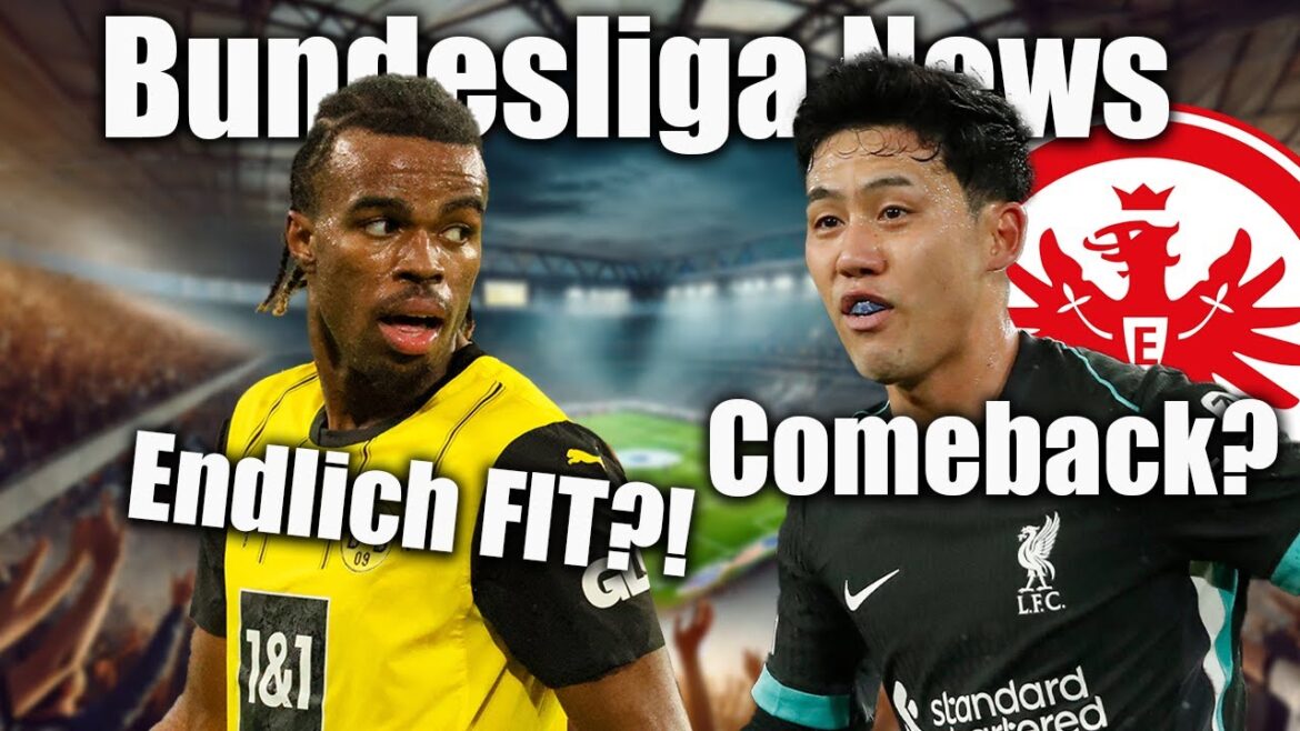 Wataru Endo à Eintracht Frankfurt? Chukwuemeka est enfin prêt pour le BVB commençant à onze?