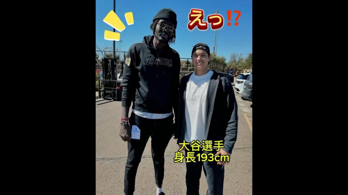 Otani Shohei a l'air petite #Dodgers #Dodgers #Major League #Baseball #Mamadou ndiaye #Mamadou Njay