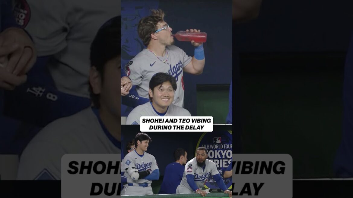 Shohei Ohtani et Teo s'amusaient à la série Tokyo 😂 #mlb #Baseball #Dodgers #ShoHeoHtani