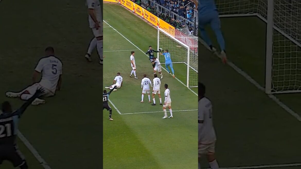 John McCarthy & Miki Yamane en dehors de la ligne Save #lagalaxy #mls