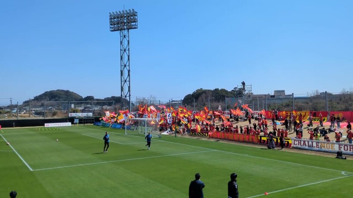 Schmidt Daniel (Nagoya Grampus)