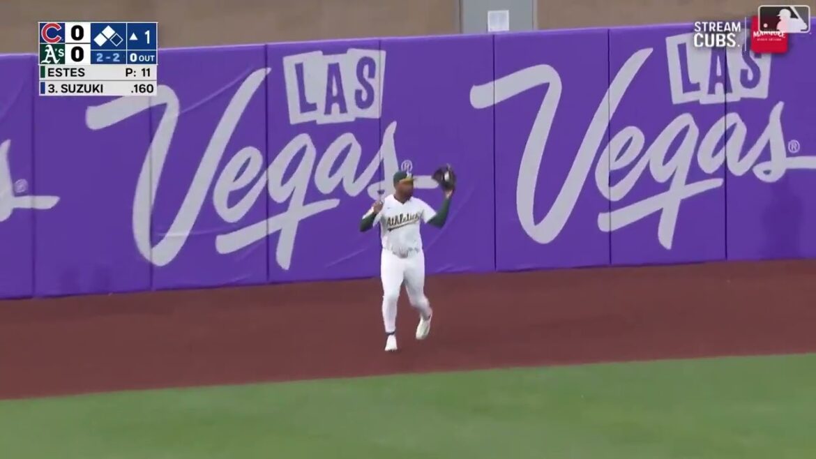 La mouche du sacrifice de Seiya Suzuki