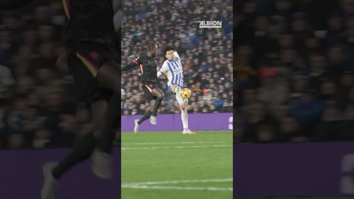 Meilleurs angles de la touche parfaite de Mitoma #Kaorumitoma #ChelSea #BrightonandHovealBion #premierleague