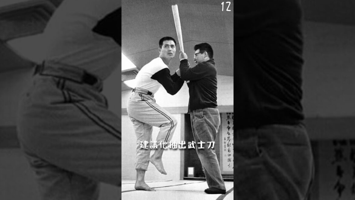 Quel couteau est la série Tokyo de Suzuki Masaya?