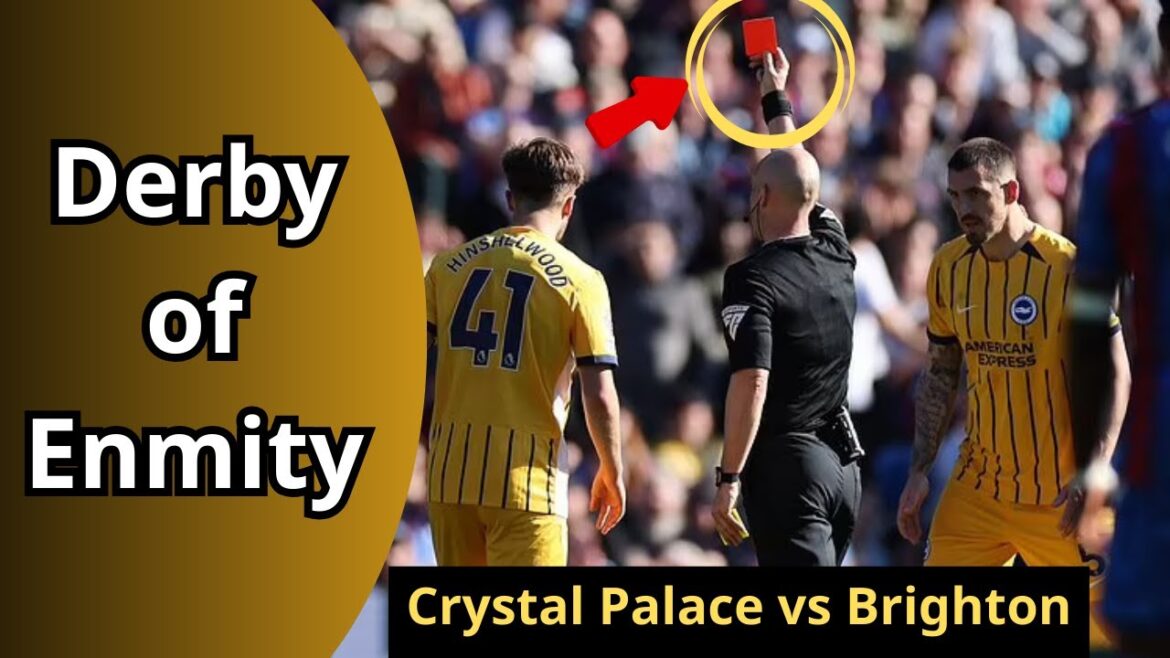 3 cartons rouges et combats! Brighton vs Palace est en feu 💥 # Premierleague #football