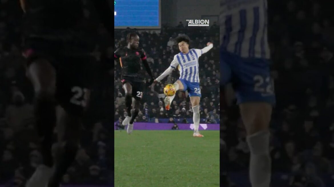 Touch et objectif phénoménal de Mitoma 😱😳😱😳 #brightonandhovealbion #Kaorumitoma #ChelSea