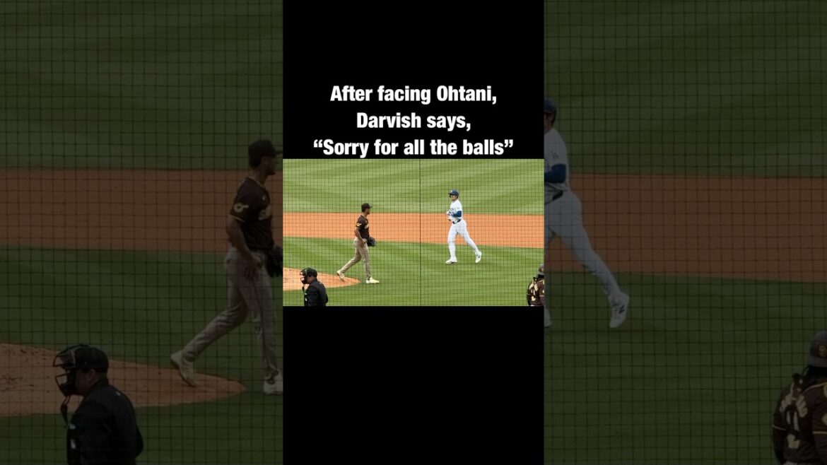 Vous pouvez vraiment voir leur amitié ici