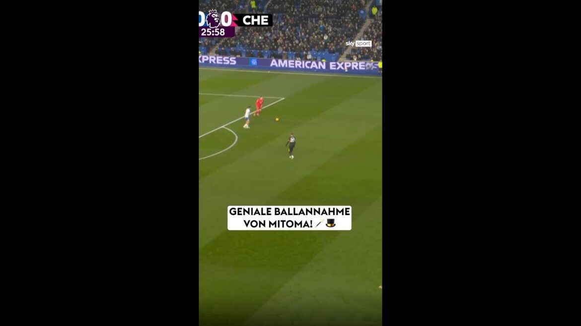 Hypothèse fantastique de Mitoma