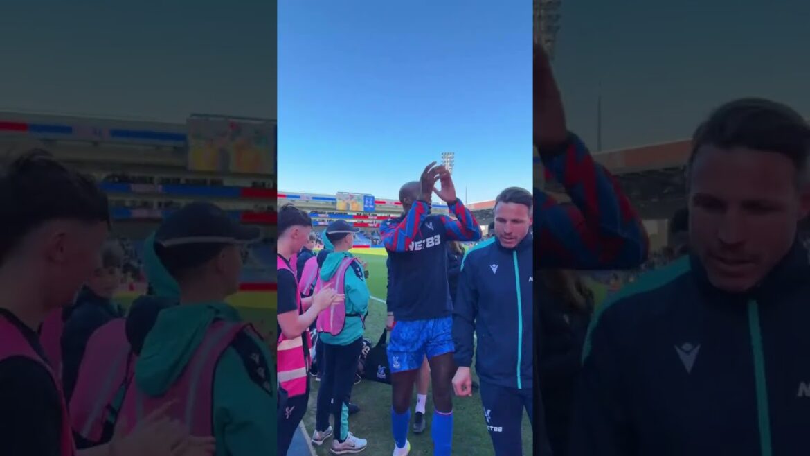 Attendez le fantastique le plus passionné à ce moment-là #cpfc #brighton #premierleague