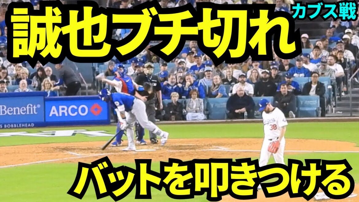 Le troisième at-bat de Suzuki Seiya est vraiment ennuyeux! Il a mis au sol un méchant! ![Fipes locales]12 avril 2025 Cubs Match