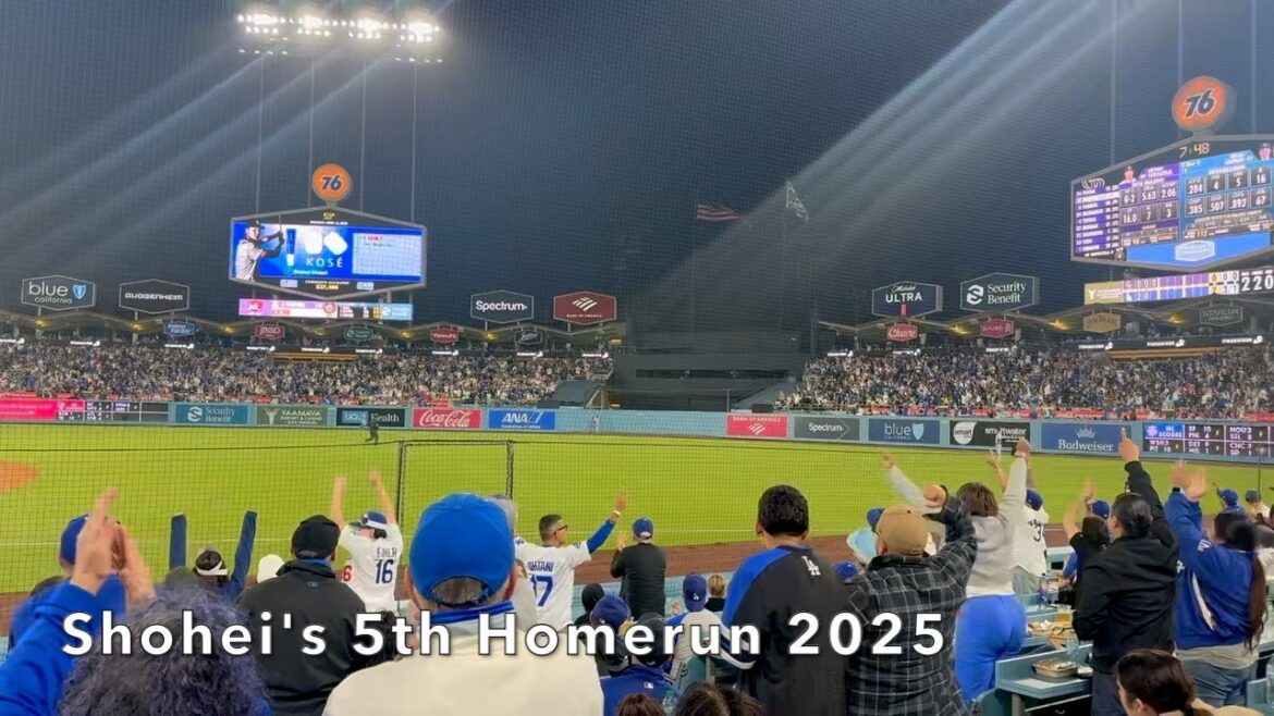 Dodger Nation aime Shohei Ohtani