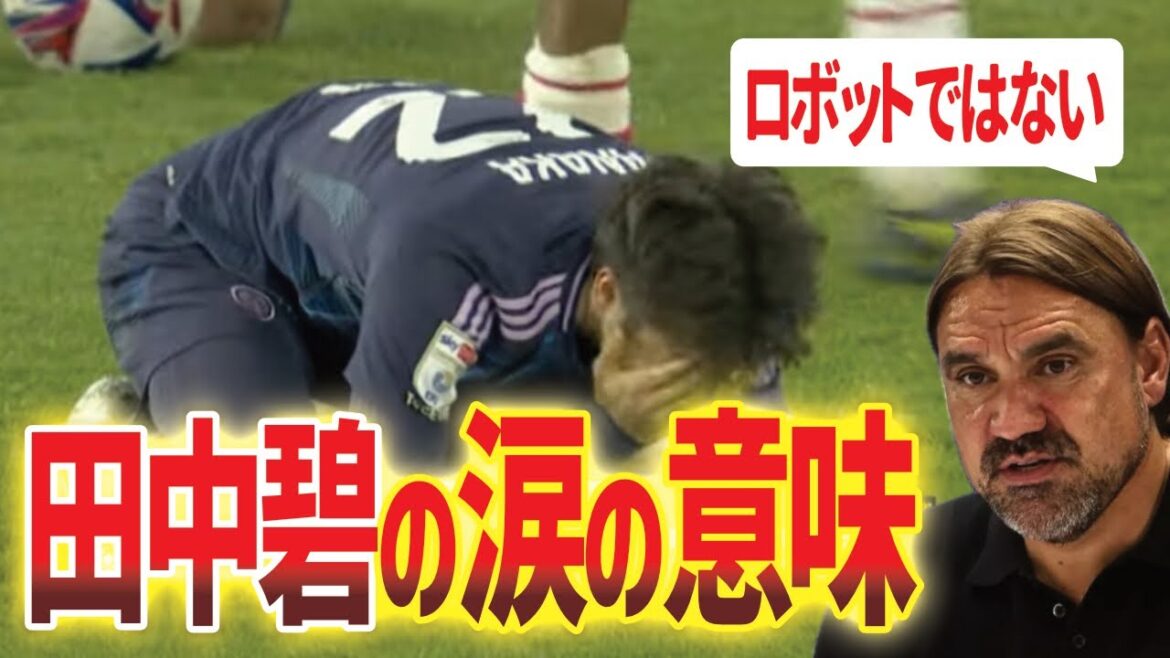 【pourquoi? 】 Qu'est-ce que Tanaka Aoi signifie se faire des larmes après sa victoire? Autres nouvelles[Ito Hiroki, Tomiyasu, Sugawara]