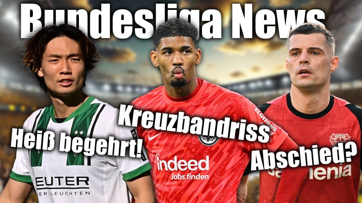 BVB, Bavaria & Co. Jage Itacura! Mega choc pour Francfort! Xhaka quitte Leverkusen?