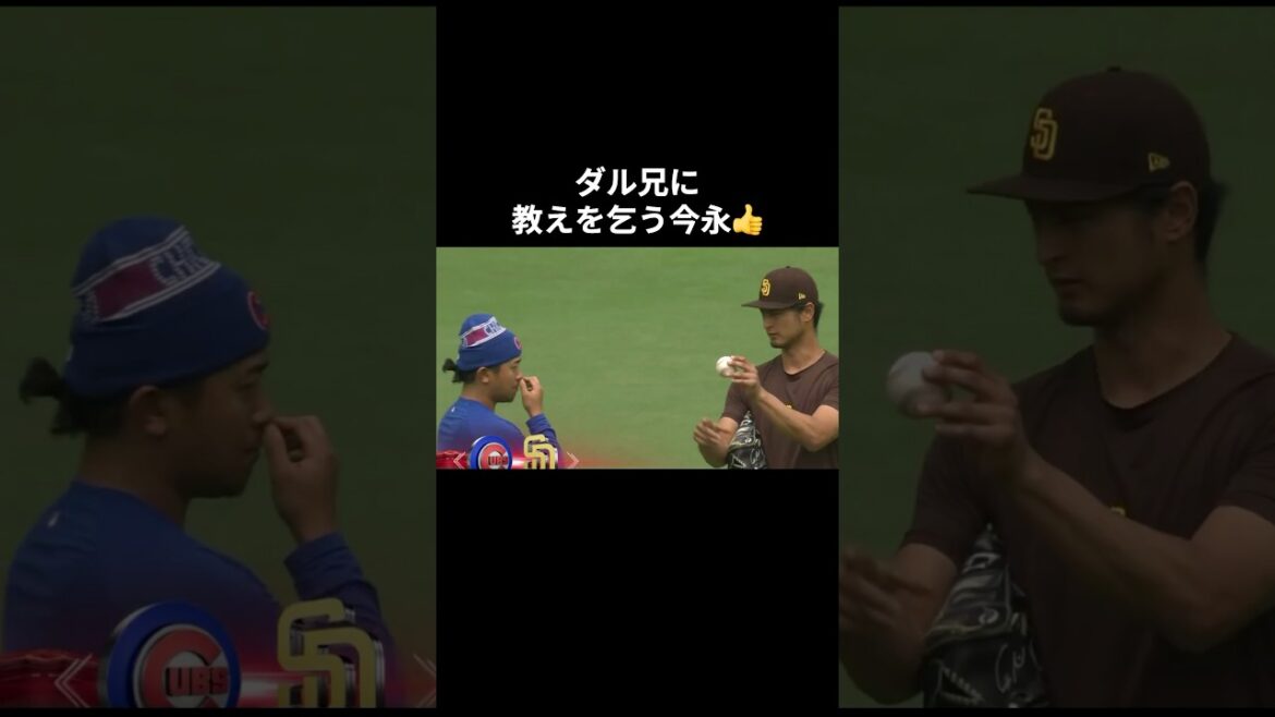 Imanaga demande d’enseigner mon frère Dal👍 #Otani Shohei #mlb #shorts #Dodgers #Dodgers #Baseball #OHTANI #Baseball #darvish #IMANAGA Imanaga demande d'enseigner mon frère Dal👍 #Otani Shohei #mlb #shorts #Dodgers #Dodgers #Baseball #OHTANI #Baseball #darvish #IMANAGA