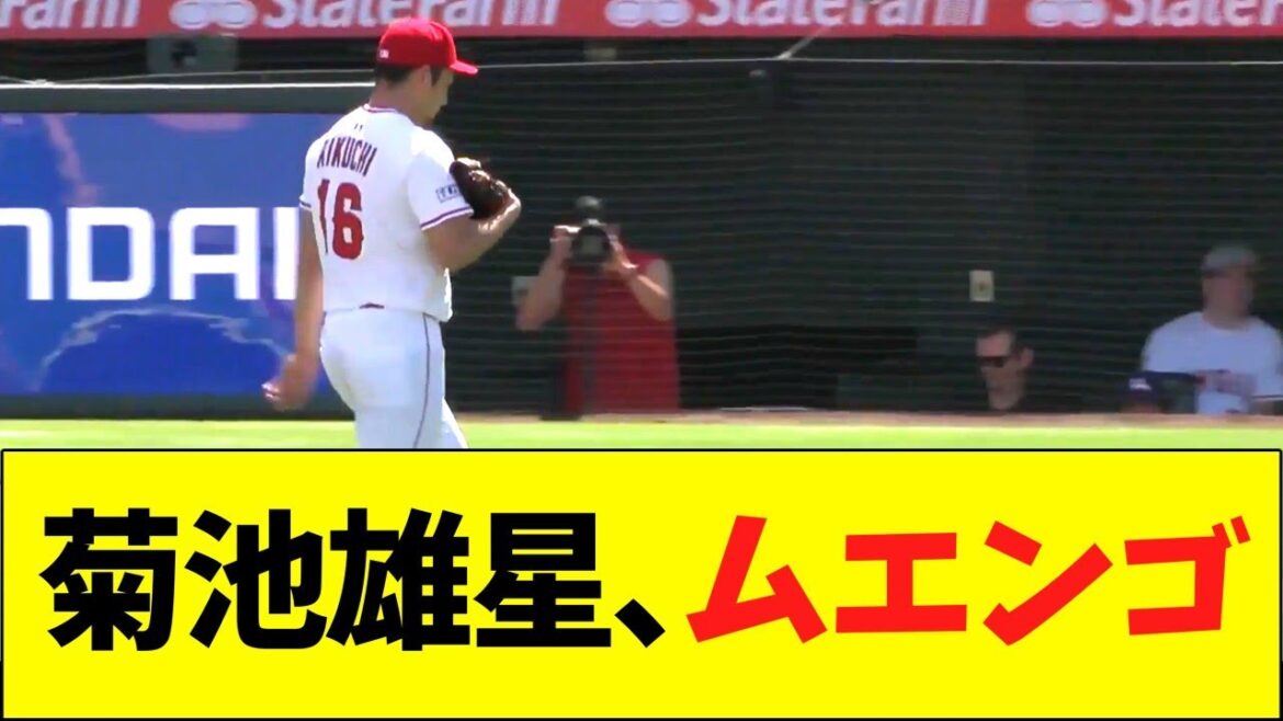 Kikuchi Yusei, Mulengo