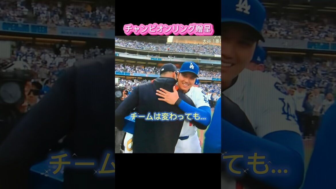 2 millions de fois❗️otani shohei✨ Une ferme Hug💓flaherty présente une bague de championnat‼ ️A Touching Moment ✨ #Otani Shohei #Dodgers #flaherty #jackflaherty #flaherty #shoheiohtani 2 millions de fois❗️otani shohei✨ Une ferme Hug💓flaherty présente une bague de championnat‼ ️A Touching Moment ✨ #Otani Shohei #Dodgers #flaherty #jackflaherty #flaherty #shoheiohtani