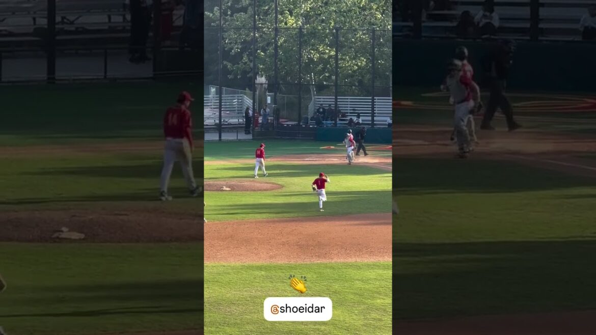 Le tangage incroyable du fils de Darvish! 👏 Le tangage incroyable du fils de Darvish! 👏