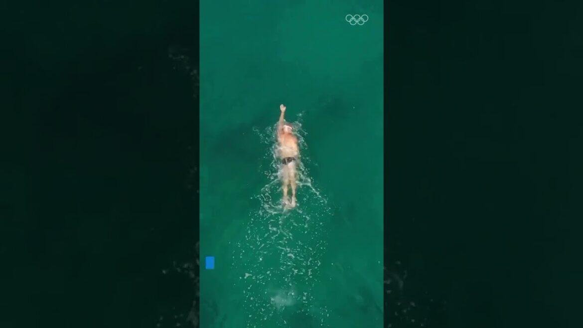 Tips to swim like an Olympian! 🏊‍♂️