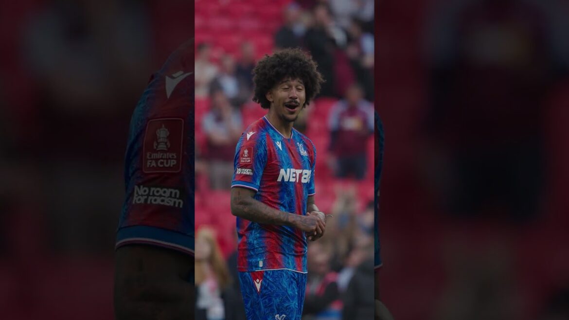 Un sentiment comme aucun autre #cpfc #Crystalpalace #facup
