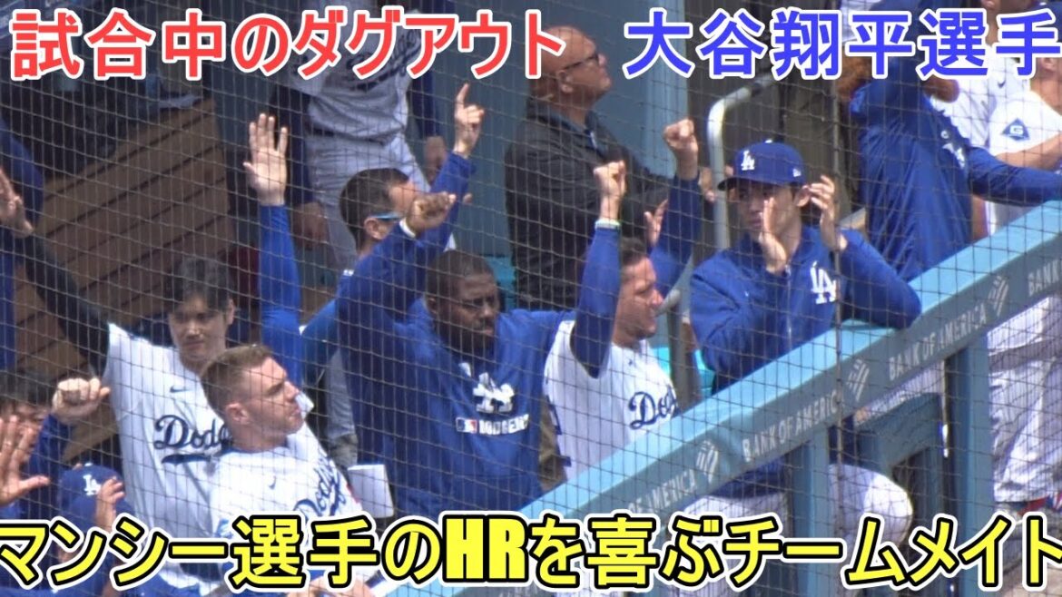 ♦ ️ DUGUS Pendant le match ♦ ️TeamMate qui ravit les HR de Muncie[Otani Shohei]contre Miami Marlins - Série finale - Shohei Ohtani vs Marlins 2025