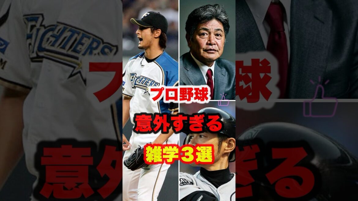 ▶ ︎[3 Sélections de trivia surprenantes pour le baseball professionnel]