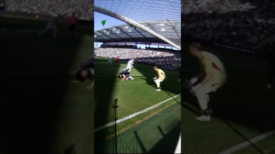 Même les héros de la Coupe du monde marquent leurs propres buts ...