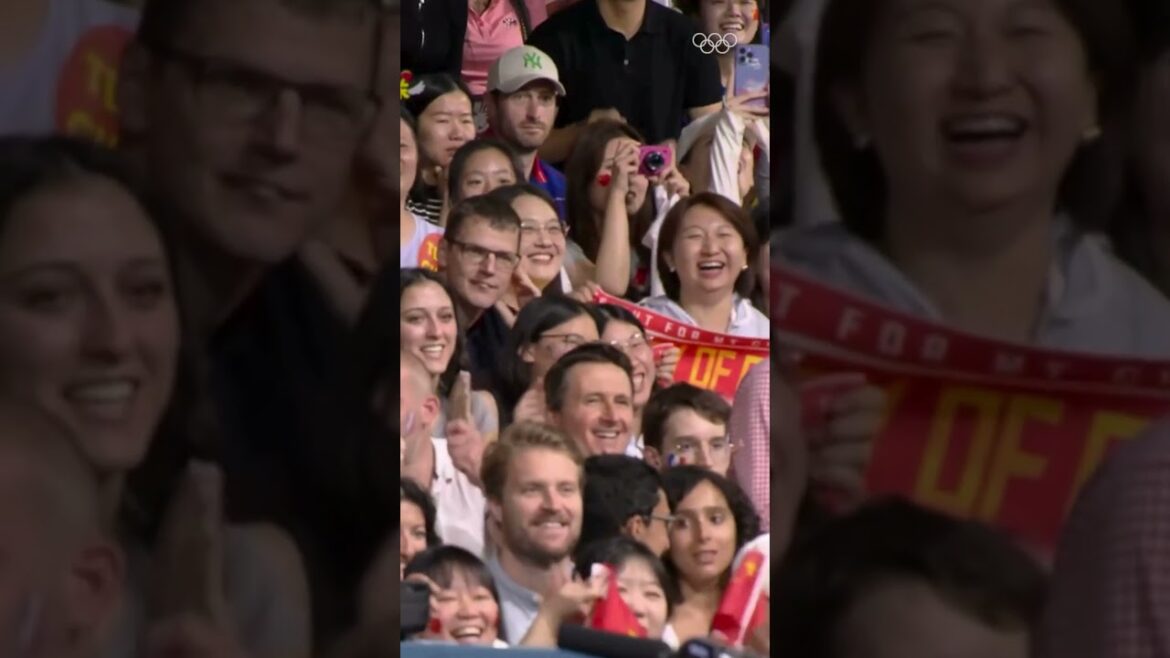 The greatest ever table tennis shot at the Olympics? 🏓 👀 #Olympics #Sports #TableTennis The greatest ever table tennis shot at the Olympics? 🏓 👀 #Olympics #Sports #TableTennis