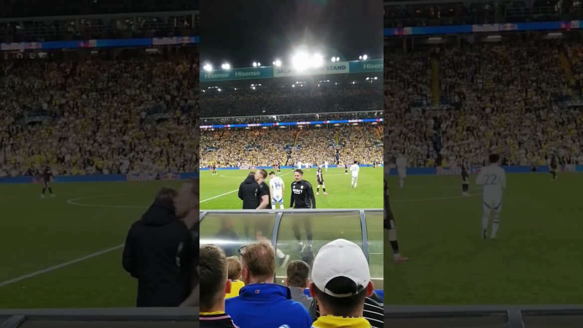 Leeds United Ao Tanaka, Manor Salomon et Bamford ont appelé à l'action. #leedSunited #football #leeds