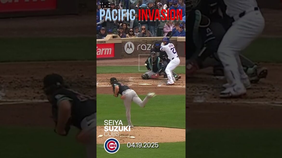 Seiya Suzuki, The Pacific Invasion #Seiyasuzuki #Dodgers #cubs