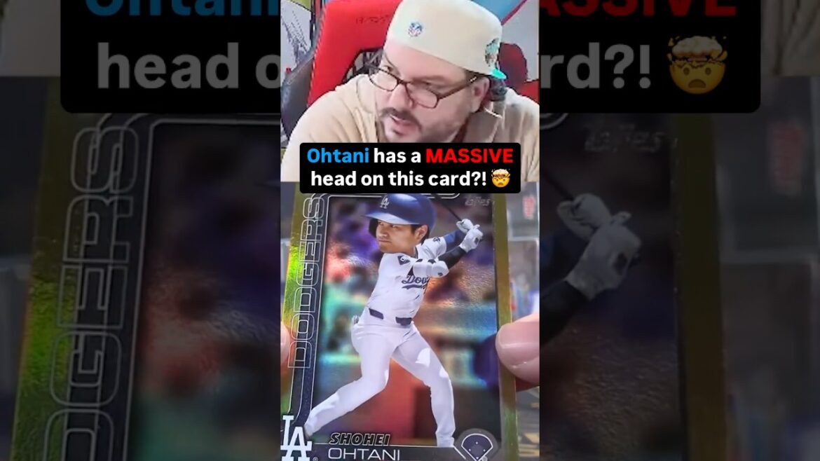 Pourquoi a-t-il une tête massive?!? 😭