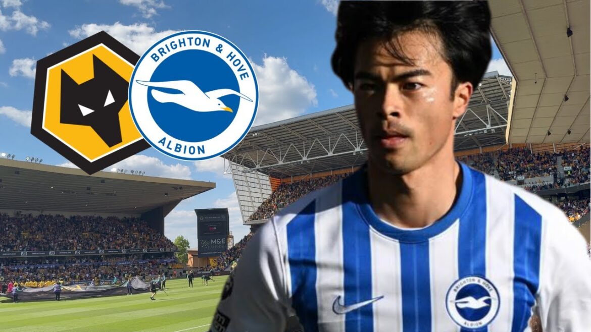 J'ai regardé le match de Brighton de Mito Kaoru sur place.