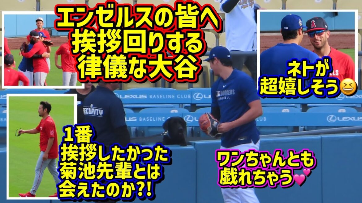 Témoin!! En fait, Otani est une personne impolie qui cherchait Kikuchi-Senpai😊smile autour de saluer tout le monde dans les anges😁[séquences locales]5/16 vs angels shohei ohtani