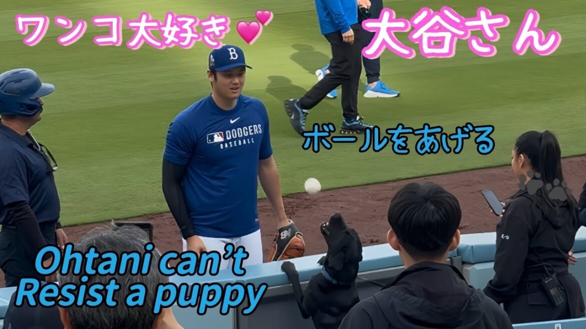 Otani-san aime trop les chiens